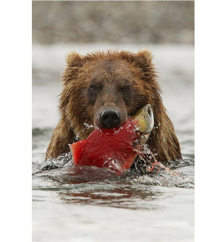 Illustration for article titled These Electrifying Photos Celebrate 50 Years Of USA's Wilderness Act